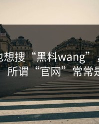 如果你也想搜“黑料wang”，先看完这段：所谓“官网”常常是假冒