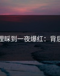 从无人理睬到一夜爆红：背后的故事