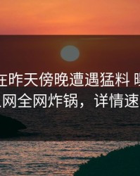 主持人在昨天傍晚遭遇猛料 曝光，秀人网全网炸锅，详情速看