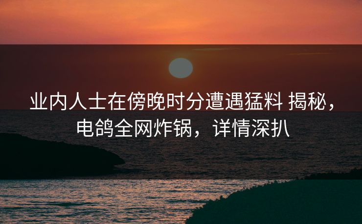 业内人士在傍晚时分遭遇猛料 揭秘，电鸽全网炸锅，详情深扒