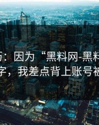 真实经历：因为“黑料网-黑料大事记”这四个字，我差点背上账号被盗麻烦