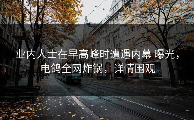 业内人士在早高峰时遭遇内幕 曝光，电鸽全网炸锅，详情围观